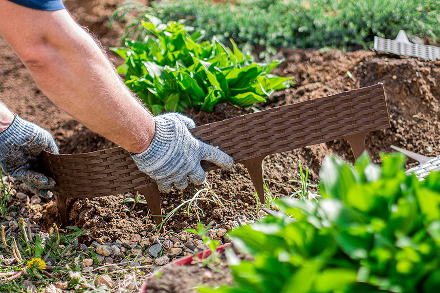 IMG_1766.jpg IMG_1766.jpg